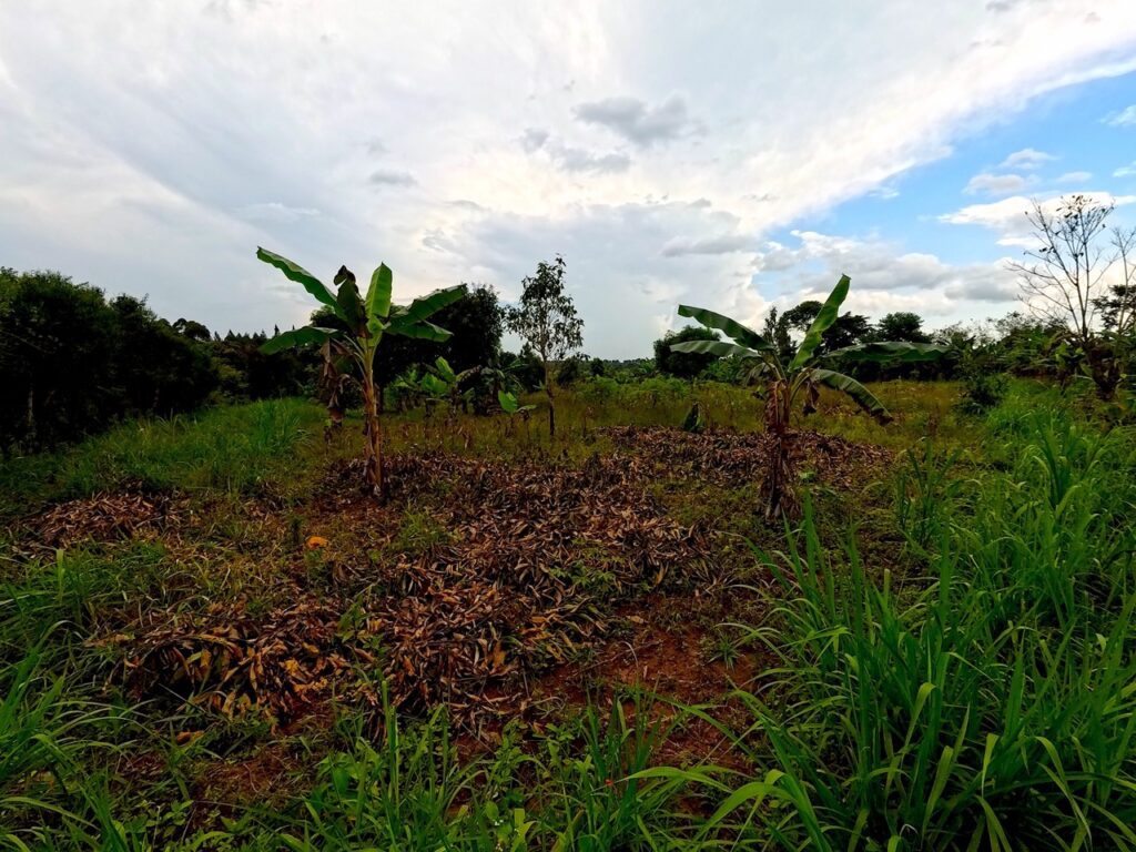 Landbesichtigung in Uganda