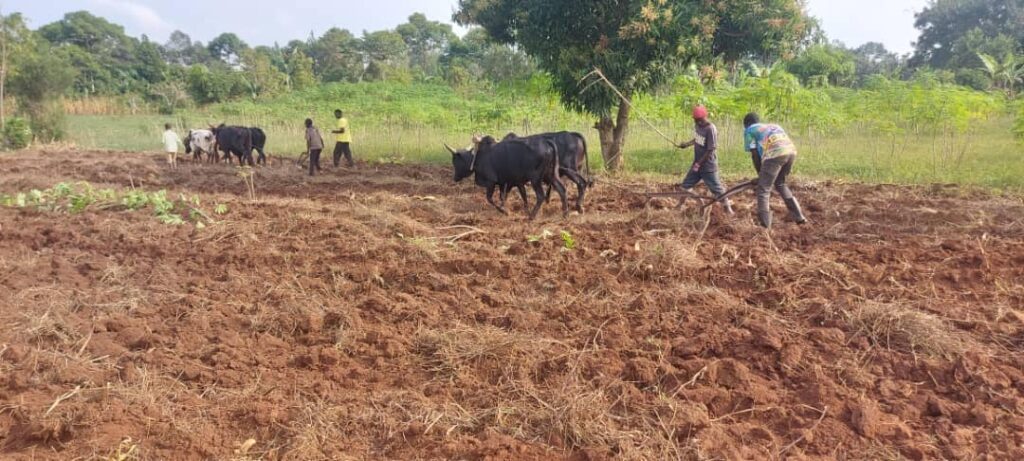 Klimawandel In Der Landwirtschaft